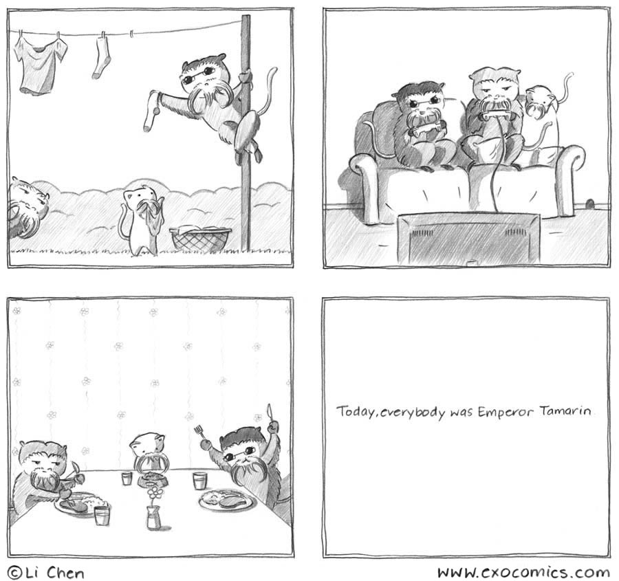 I saw one at the zoo. It was moustachey. 149