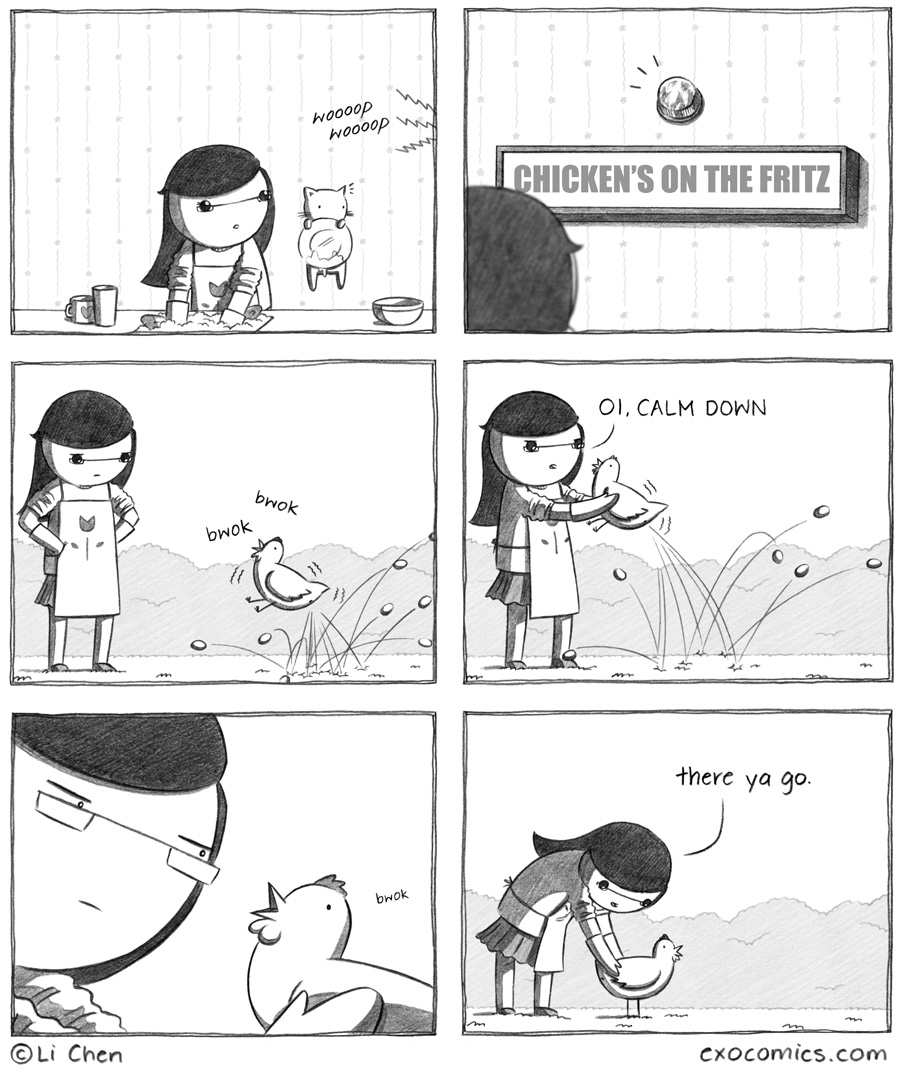 why do chickens have those things 332