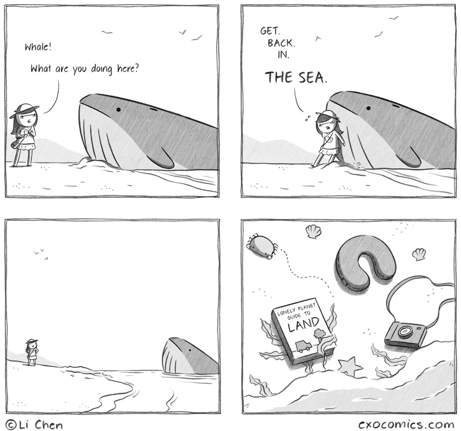 not beached, just visiting 448