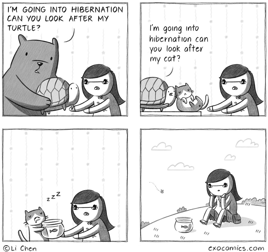 So... do you like sports? Or what 531