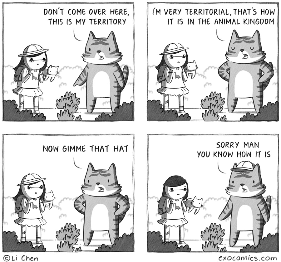 gimme that cat too 571