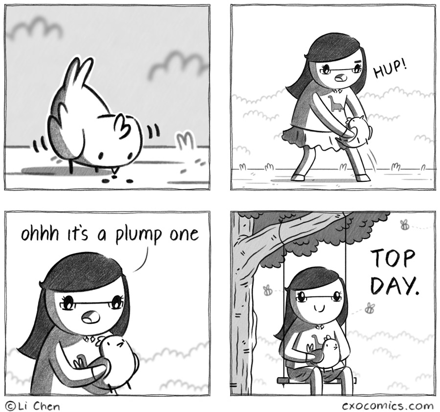 round found ground bird 587